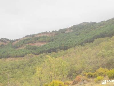 GastroRuta - Loma de Enmedio alrededor del Pico de Bañaderos; viajes de senderismo montañeros monfra